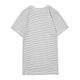 Rib Crewneck S/S Tee 101Cʥܡ졼ˡRobert P. MillerTġ