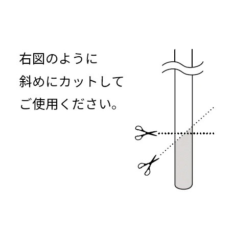 ӥåѥݥסjohn masters organicsʥݥס