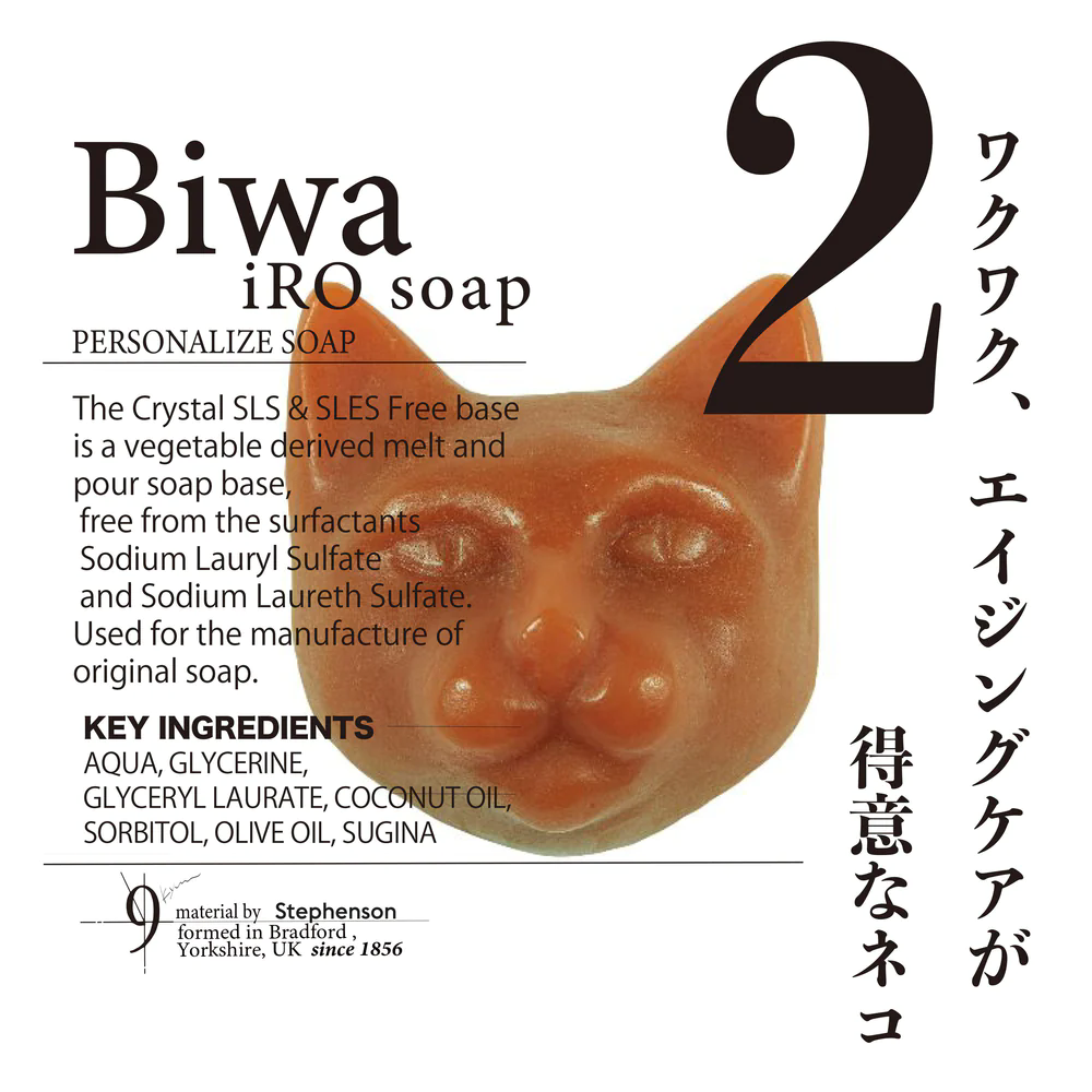 �ϥ�����ͥ� No.2 Biwa�����ǡˡ�9.kyuu���и���