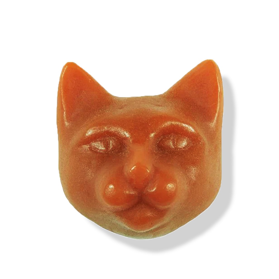 �ϥ�����ͥ� No.2 Biwa�����ǡˡ�9.kyuu���и���