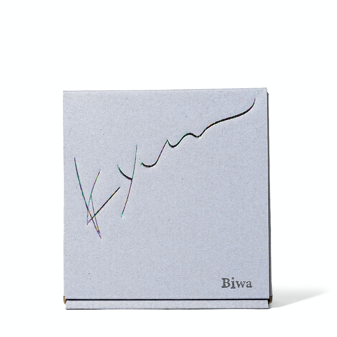 �ϥ�����ͥ� No.2 Biwa�����ǡˡ�9.kyuu���и���