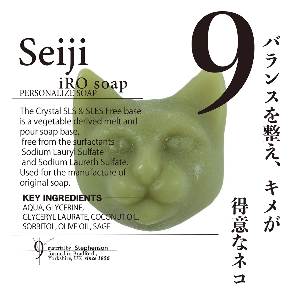 �ϥ�����ͥ� No.9 Seiji���ļ��ˡ�9.kyuu���и���