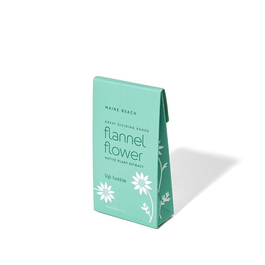 åץС ʥեͥեˡMAINE BEACHʥåץ꡼