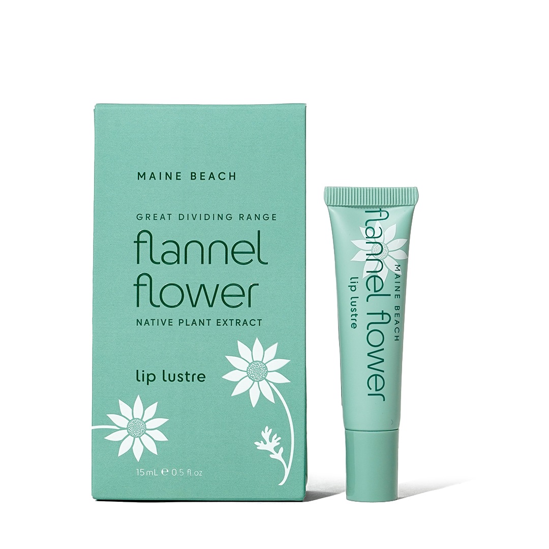 åץС ʥեͥեˡMAINE BEACHʥåץ꡼