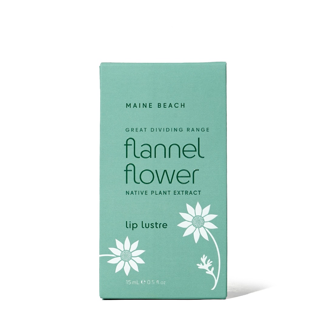 åץС ʥեͥեˡMAINE BEACHʥåץ꡼