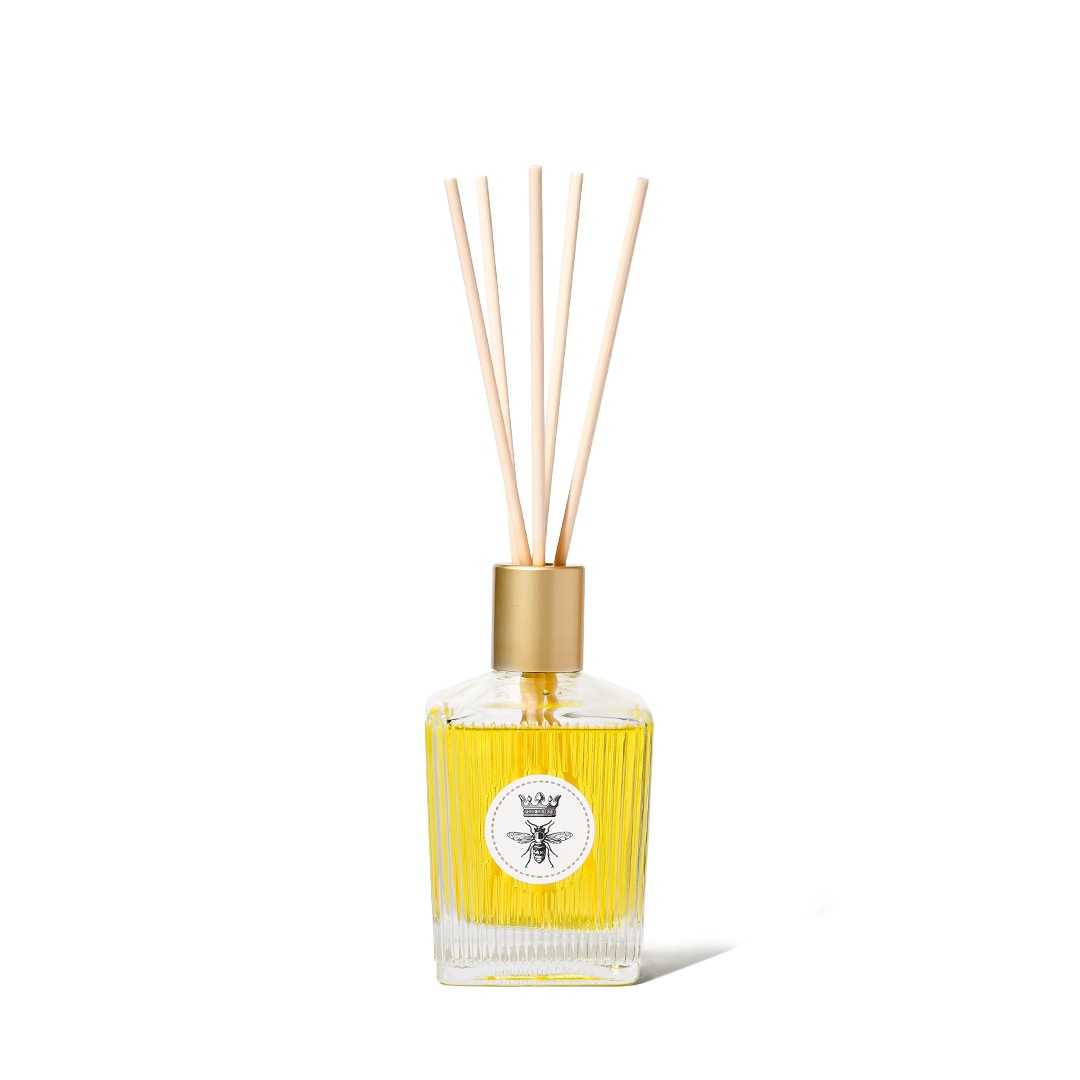 ǥե塼 ʥꥰꥢϥˡˡMAINE BEACHʥǥե塼