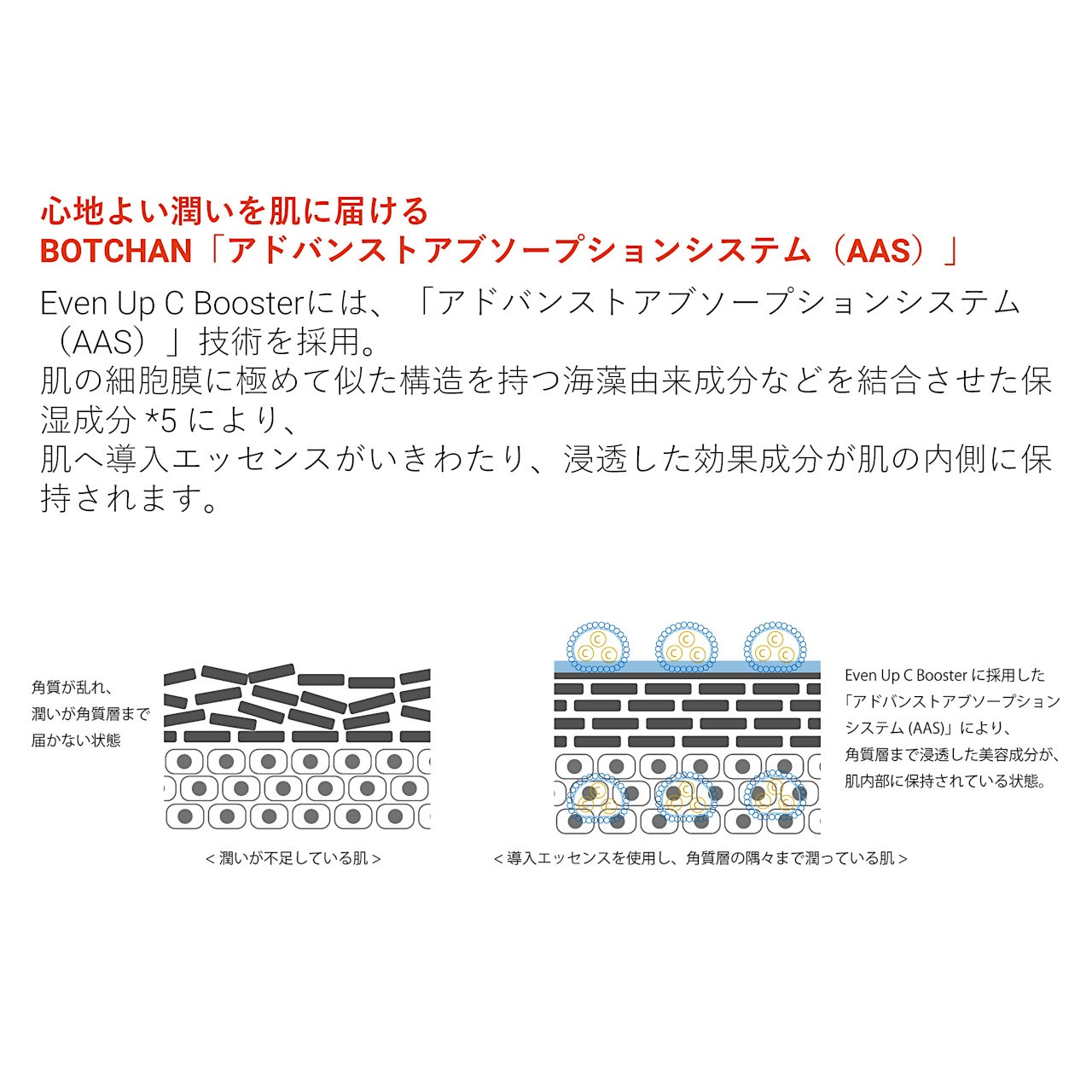 Even Up C Booster��BOTCHAN��Ƴ�����å��󥹡�