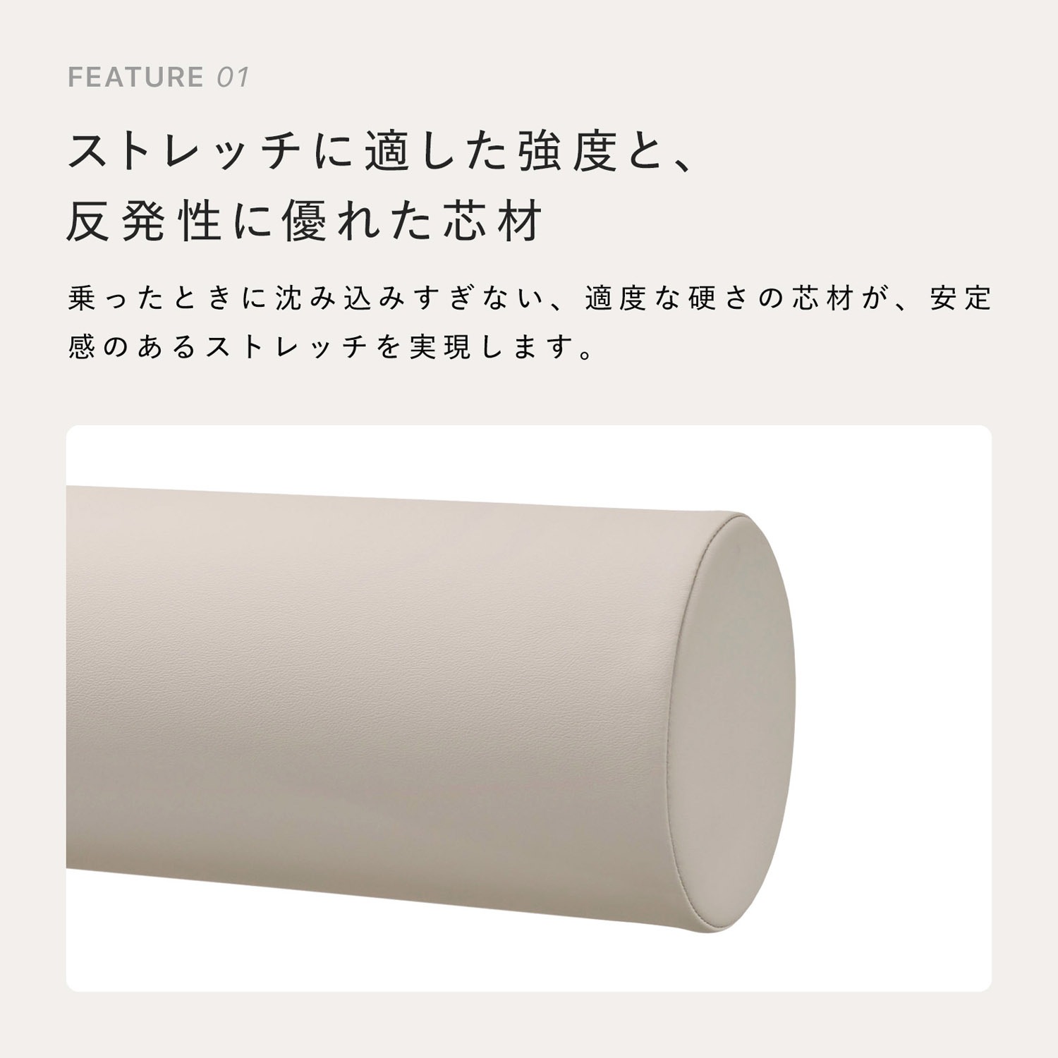 Recovery Pole��SIXPAD�ʥե��åȥͥ�������