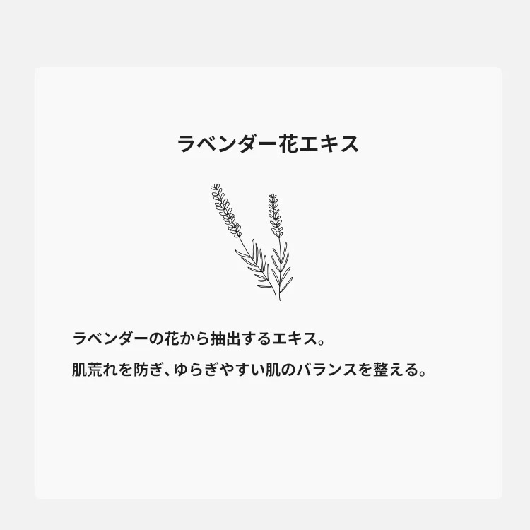 LAVENDER �ե��������ȥʡ���ICOR�ʲ��ѿ��