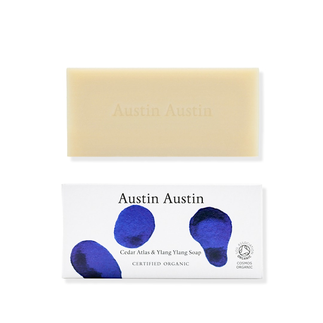ץС ȥ饹󥤥Austin AustinФ