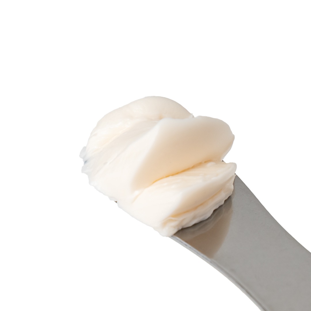 ƥ㡼꡼ࡿUPPERCUTʥå