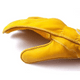 G-3 GLOVE��GRIP SWANY�ʥ������֡�