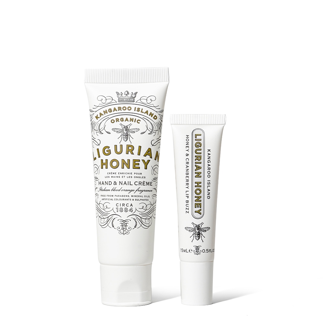 エッセンシャル デュオ パック（リグリアンハニー）_N／MAINE BEACH