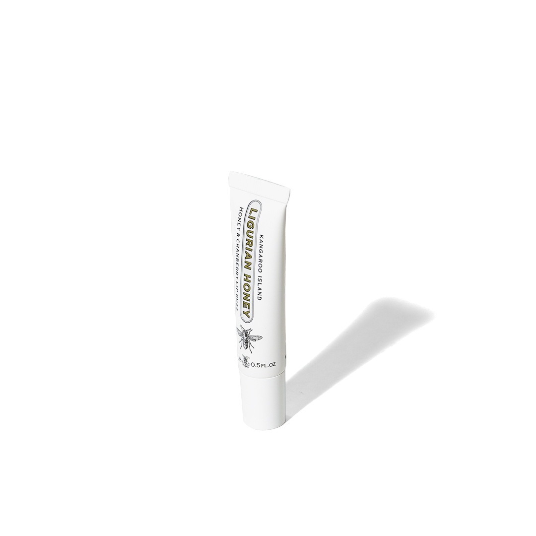 åץСʥꥰꥢϥˡˡMAINE BEACHʥåץ꡼