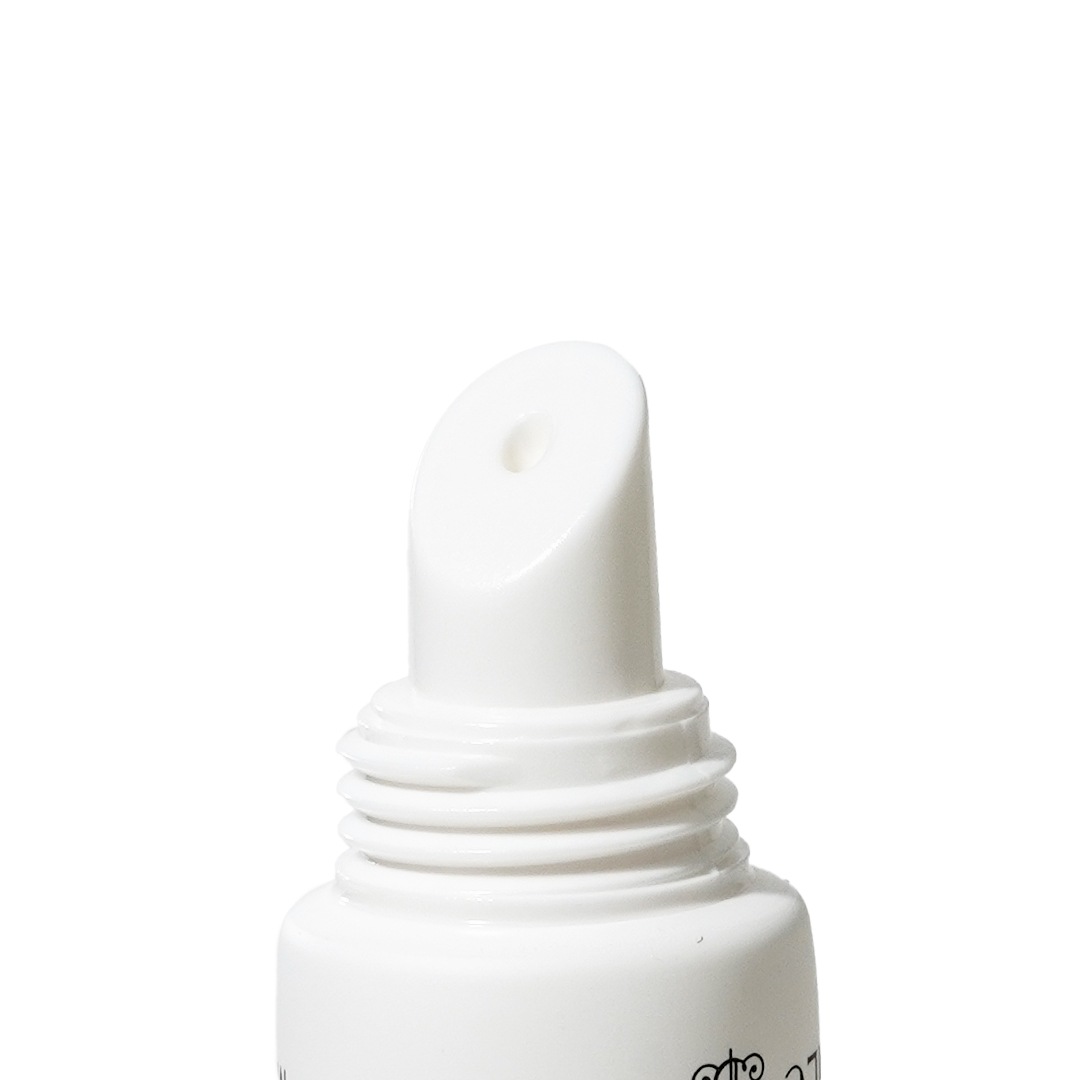 åץСʥꥰꥢϥˡˡMAINE BEACHʥåץ꡼