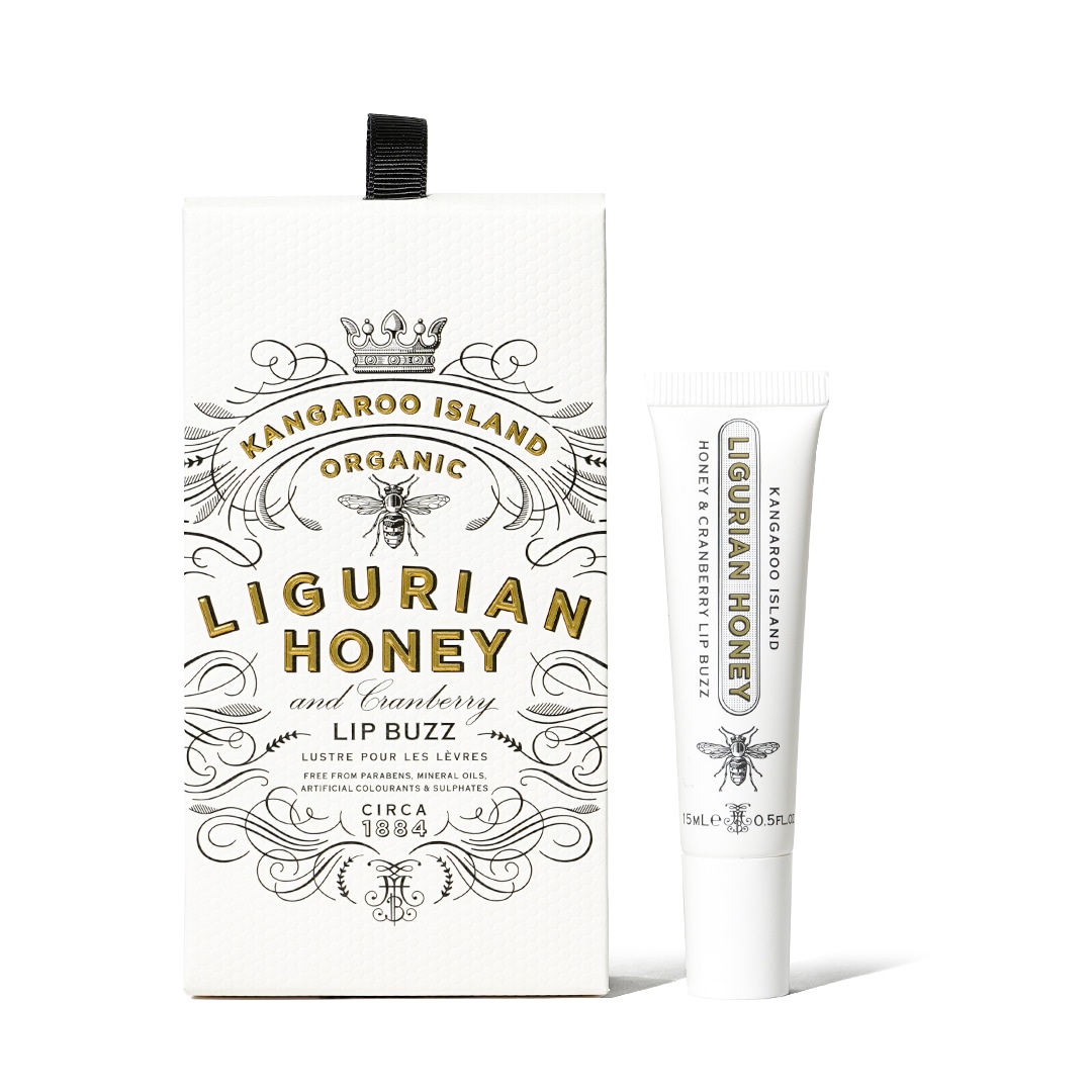 åץСʥꥰꥢϥˡˡMAINE BEACHʥåץ꡼