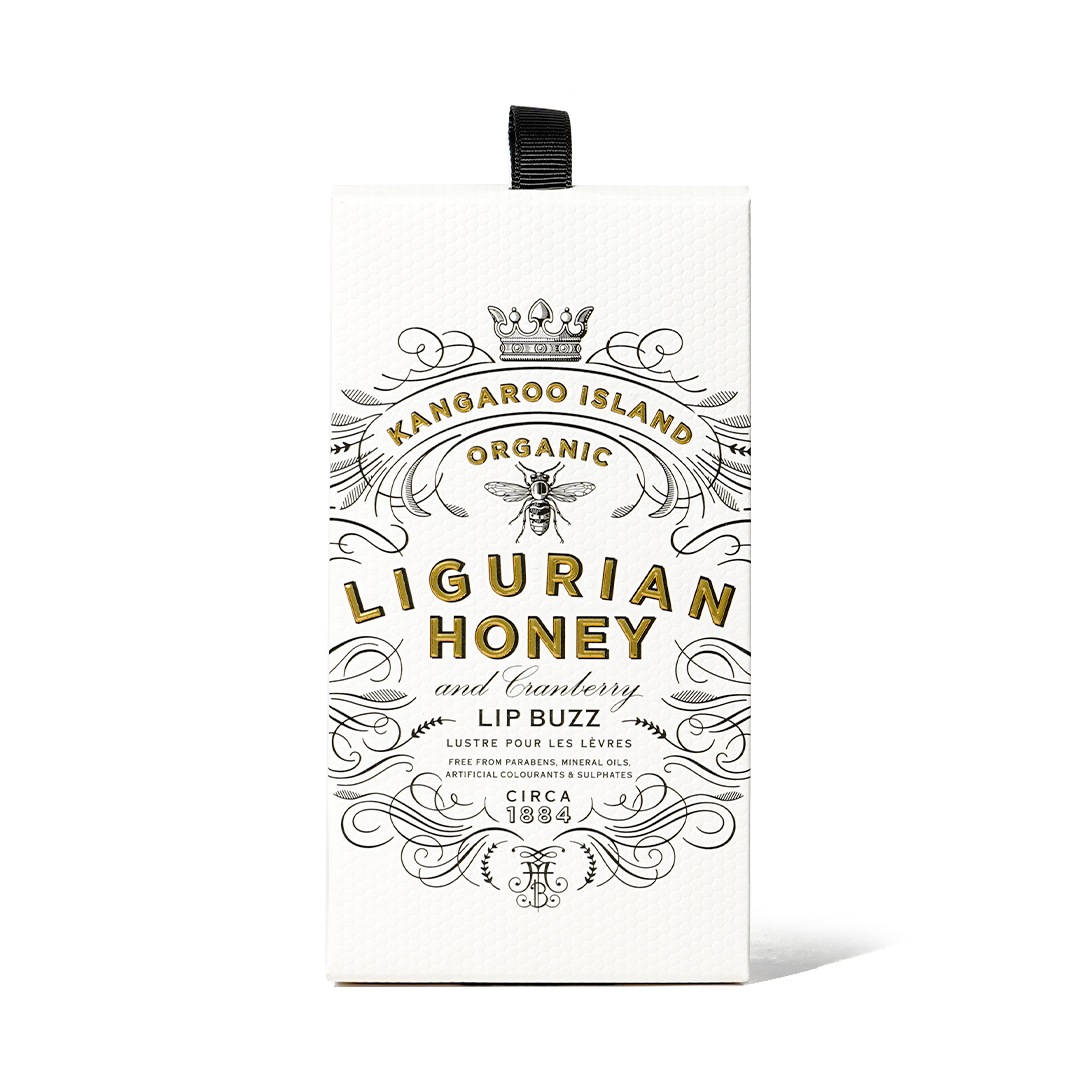 åץСʥꥰꥢϥˡˡMAINE BEACHʥåץ꡼