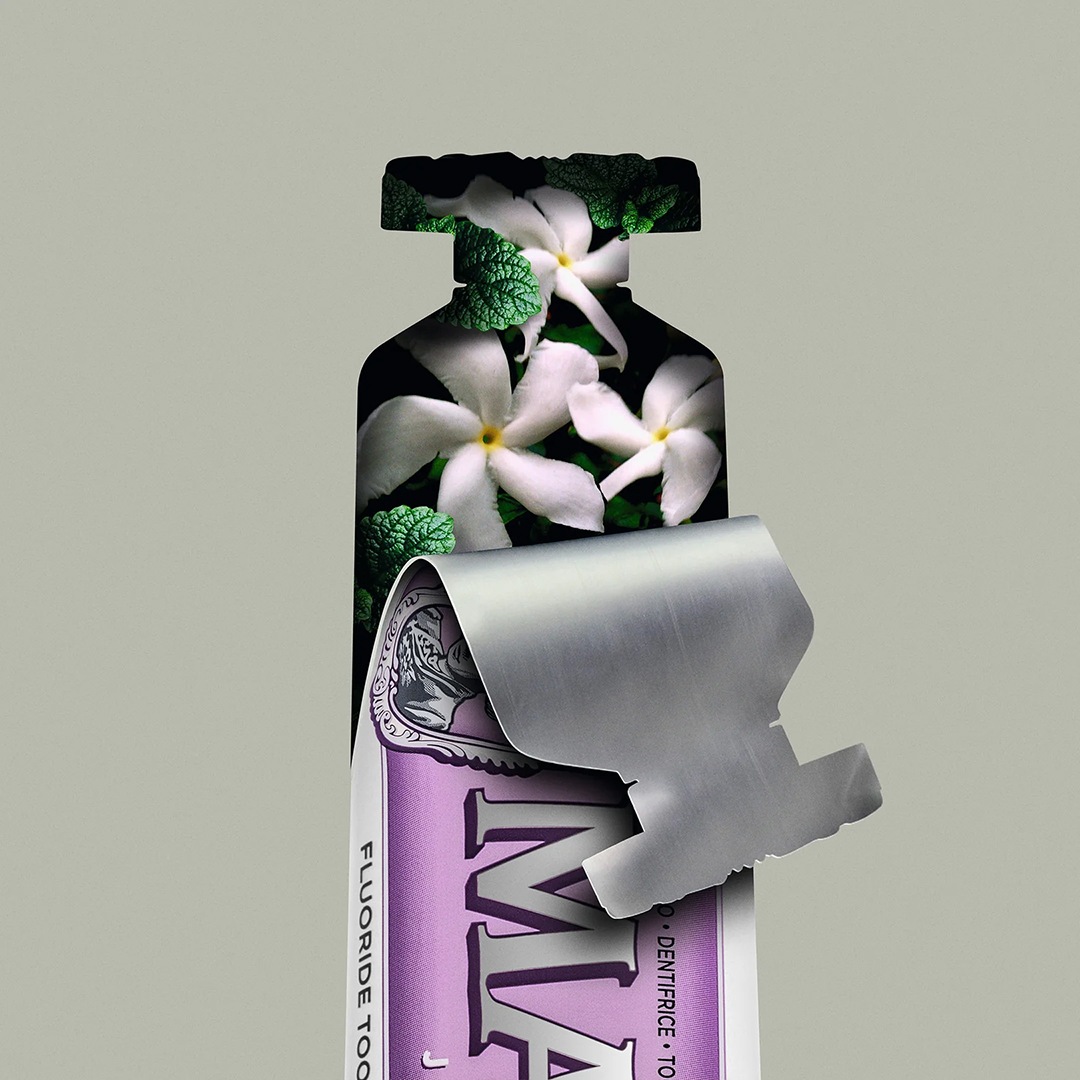 TAKE ME TO VACATION��MARVIS�ʻ��᤭ʴ��