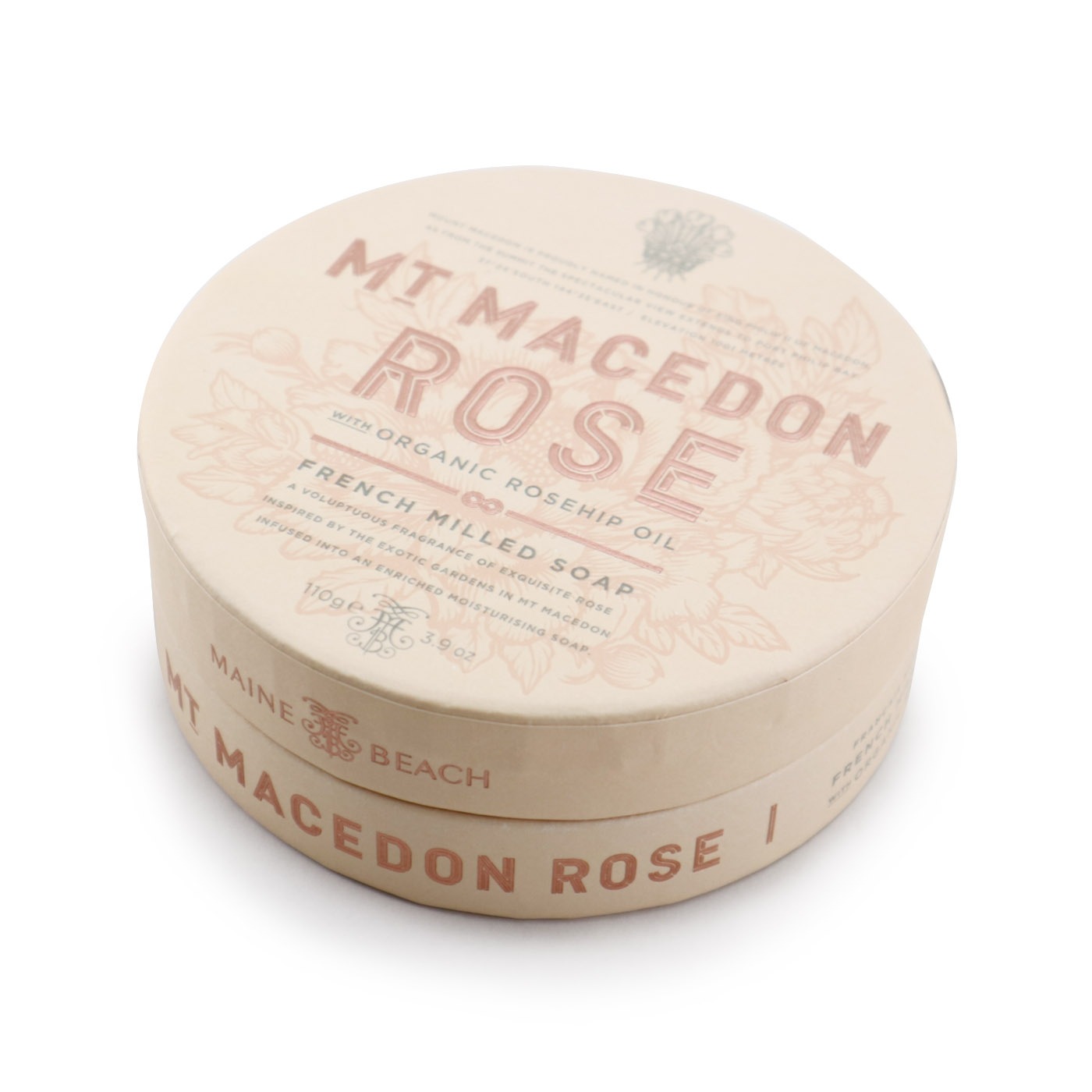 եޥɥסʥˡMAINE BEACHи