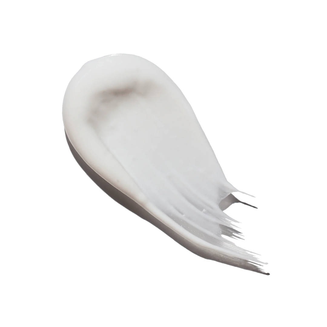 ۥ磻ȥ˥ ȥڡȡʥڥѡߥȡˡDavidsʻ᤭ʴ