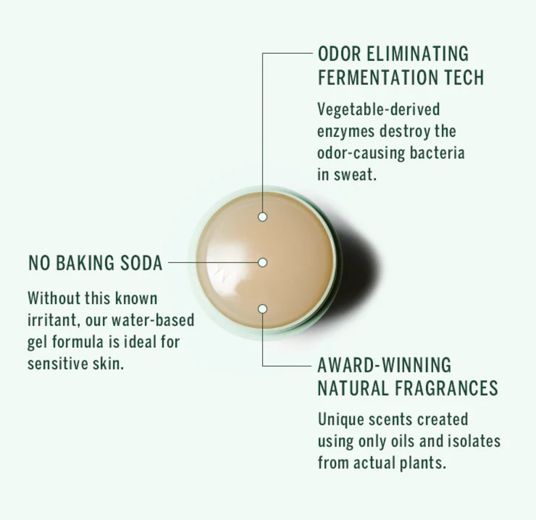 ATLAS �ܥǥ���ե�å�������륪��CORPUS NATURALS�ʥܥǥ������륪���