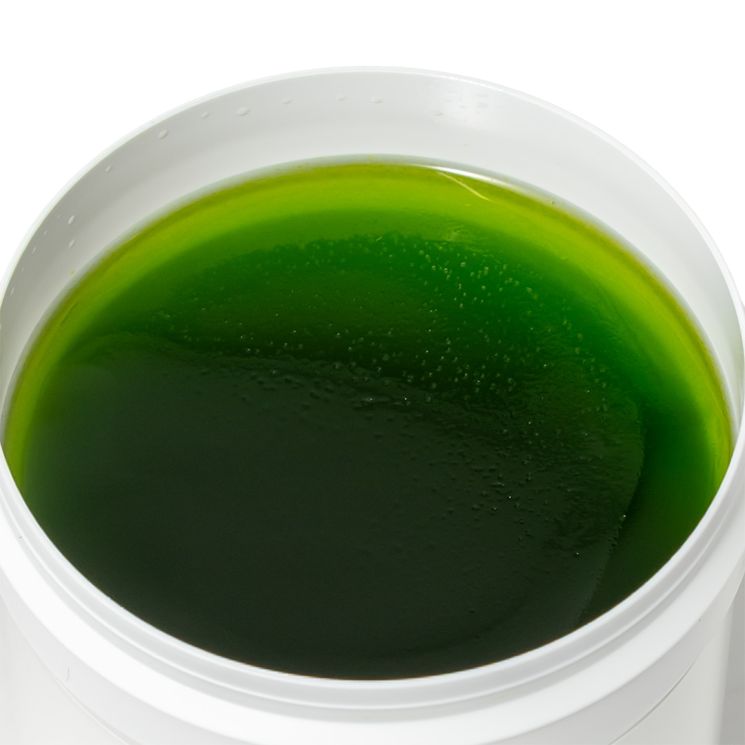 GREASY SLIME JIM POMADE��GREEN SLIME�ˡ�GREASY SLIME JIM POMADE�ʥݥޡ��ɡ�