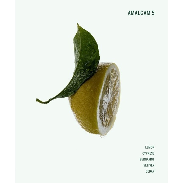 �ϥ�ɥ��꡼���AMALGAM 5�ˡ�CORPUS NATURALS�ʥϥ�ɥ��꡼���