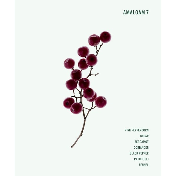 �ϥ�ɥ��꡼���AMALGAM 7�ˡ�CORPUS NATURALS�ʥϥ�ɥ��꡼���