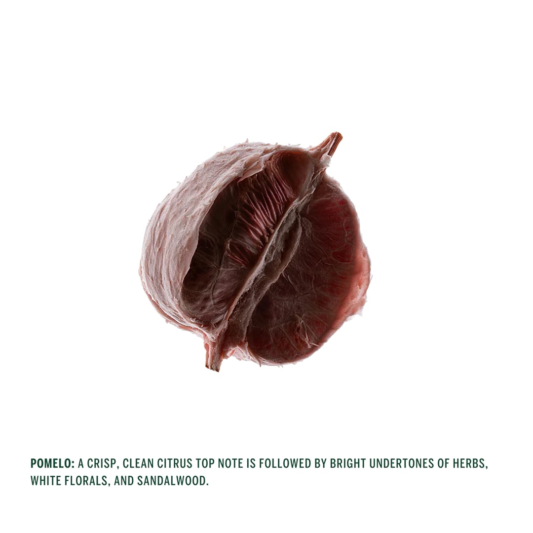 POMELO �ܥǥ���ե�å��她�ץ졼��CORPUS NATURALS�ʥܥǥ��ե쥰��󥹥��ץ졼��