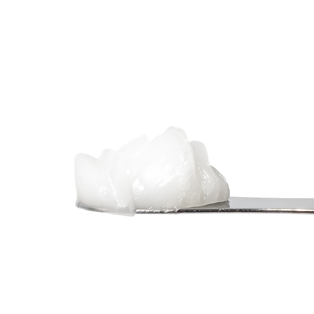 �����ݥޡ��ɡ�YS�ʥݥޡ��ɡ�