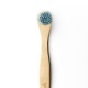 �奯�꡼�ʡ� �֥롼��HUMBLE BRUSH����֥饷��