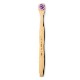 �奯�꡼�ʡ� �ѡ��ץ롿HUMBLE BRUSH����֥饷��