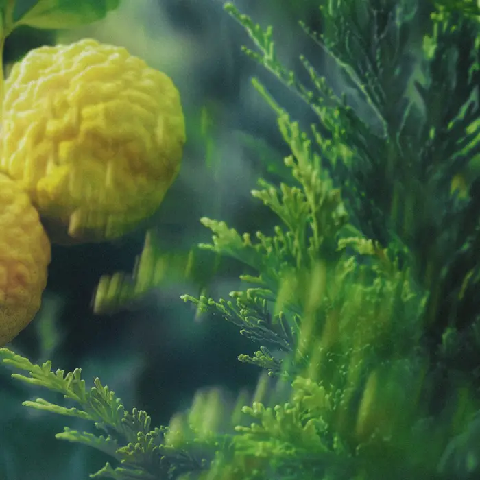 CAPOGIRO (���ݥ�����) Eau de Parfum 40ml�� DR. VRANJES�ʹ���