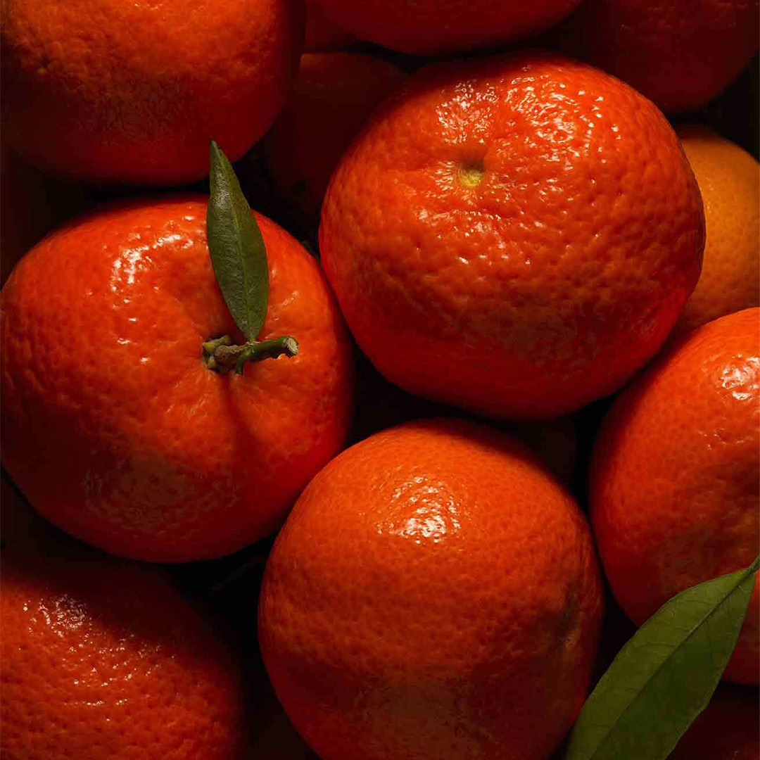 ���ꥶ��MARIEJEANNE�ʹ���