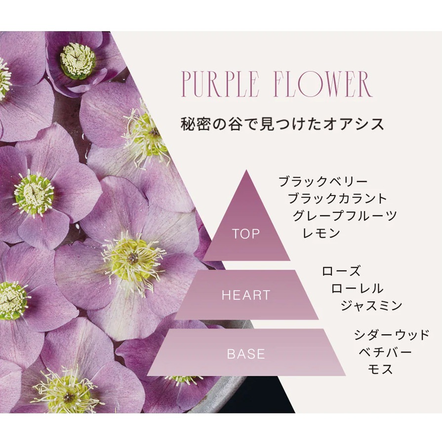 �ڥۥ�ǡ�����ۥե쥰��󥹥����� ���ѡ����� �ѡ��ץ�ե���2025 holiday collection�ۡ�john masters organics�ʥޥ���������