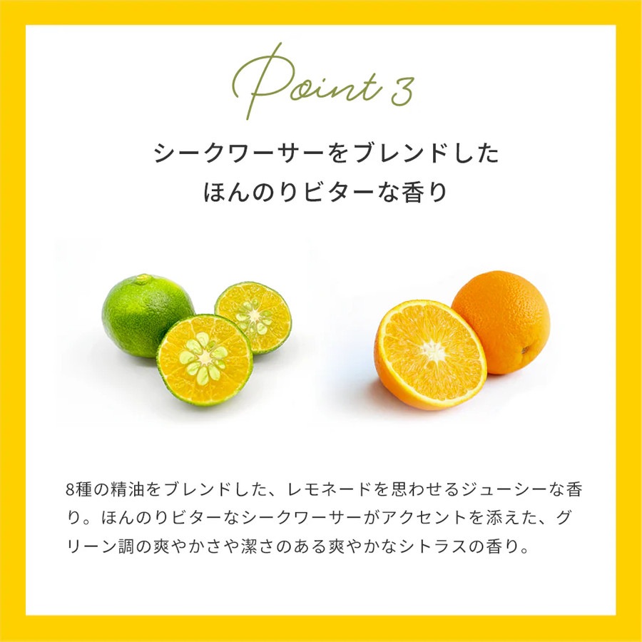 ��ϥ������ƥ� ����ǥ������G&C �꡼�֥��󥳥�ǥ������˥󥰥ߥ��� ���͡��ɡ�john masters organics������ή���ʤ��إ��ȥ꡼�ȥ��ȡ�