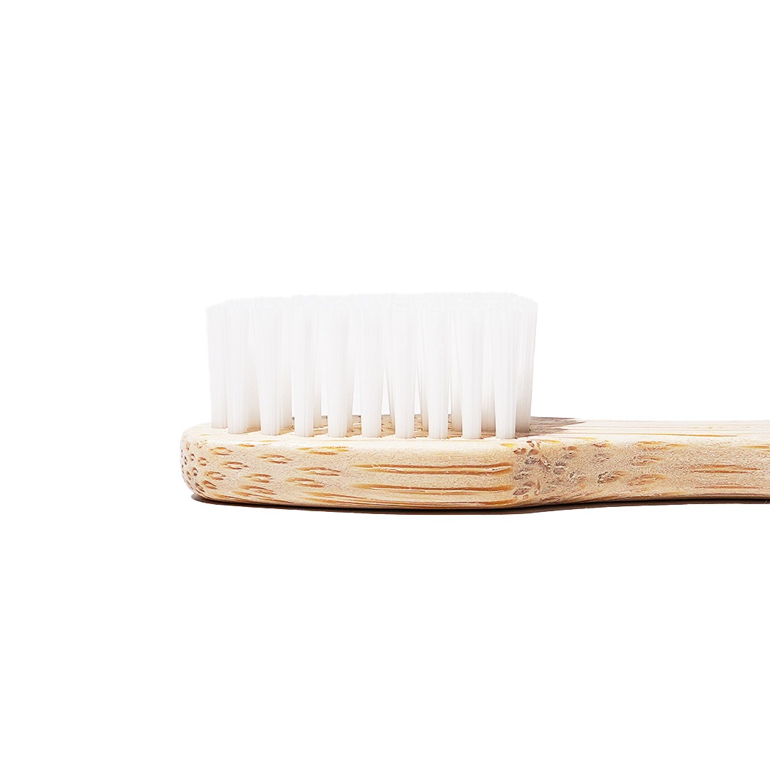 ץߥХ֥֡饷 3꡿Davidsʻ֥饷