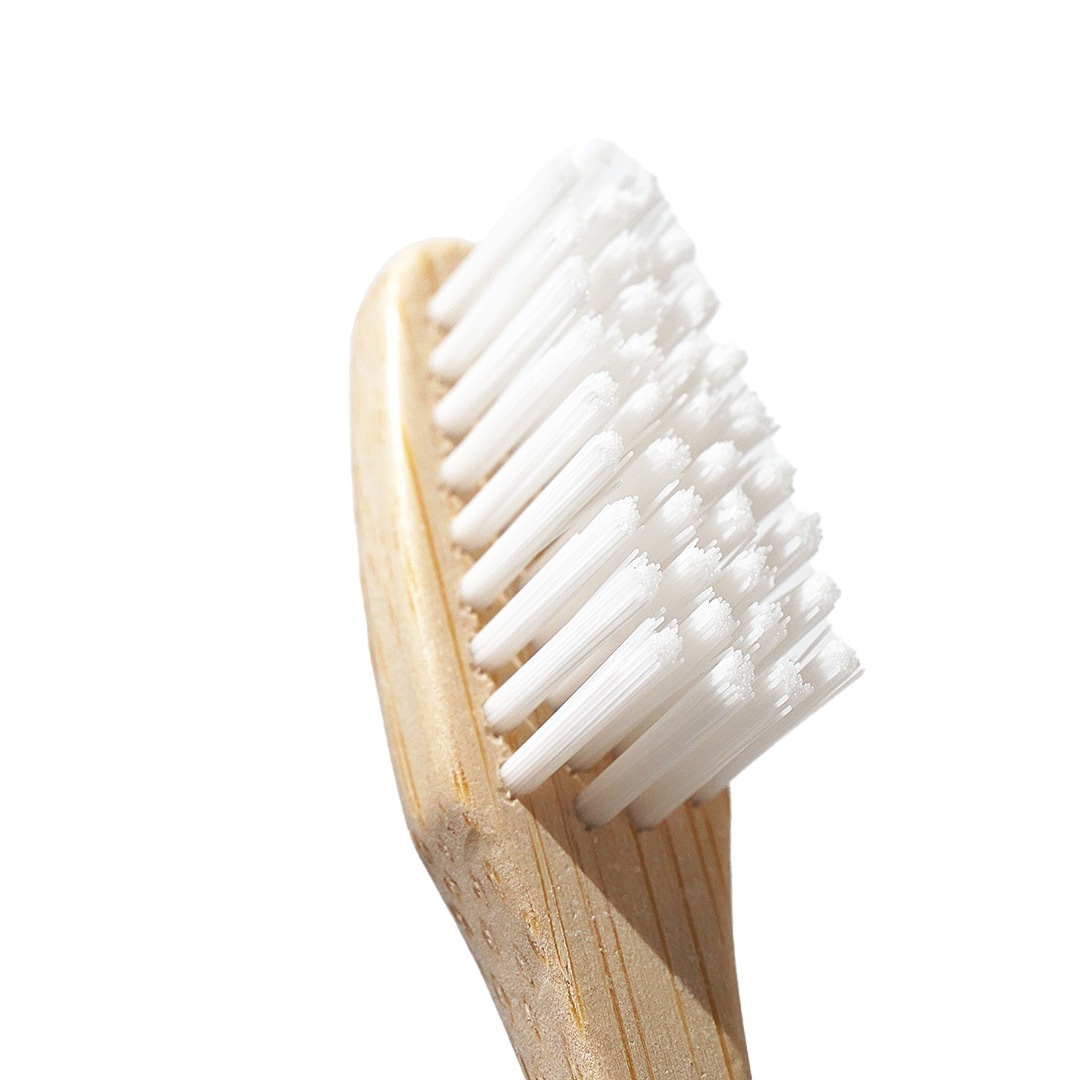 ץߥХ֥֡饷 3꡿Davidsʻ֥饷