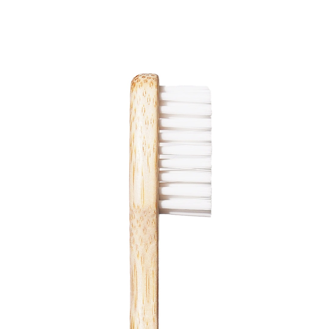 ץߥХ֥֡饷 3꡿Davidsʻ֥饷