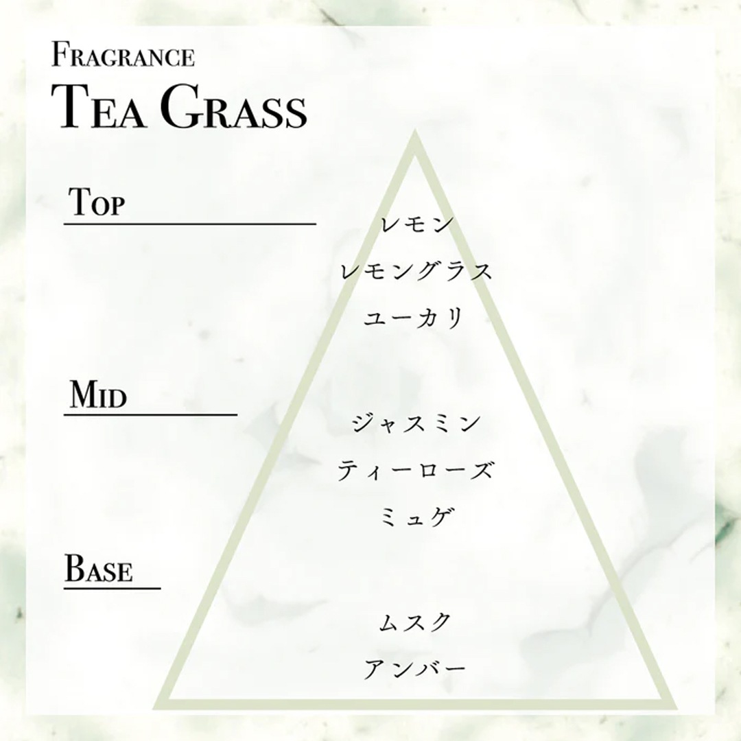 ȥ ܥǥХTEA GRASSˡSWATiʥХȡ