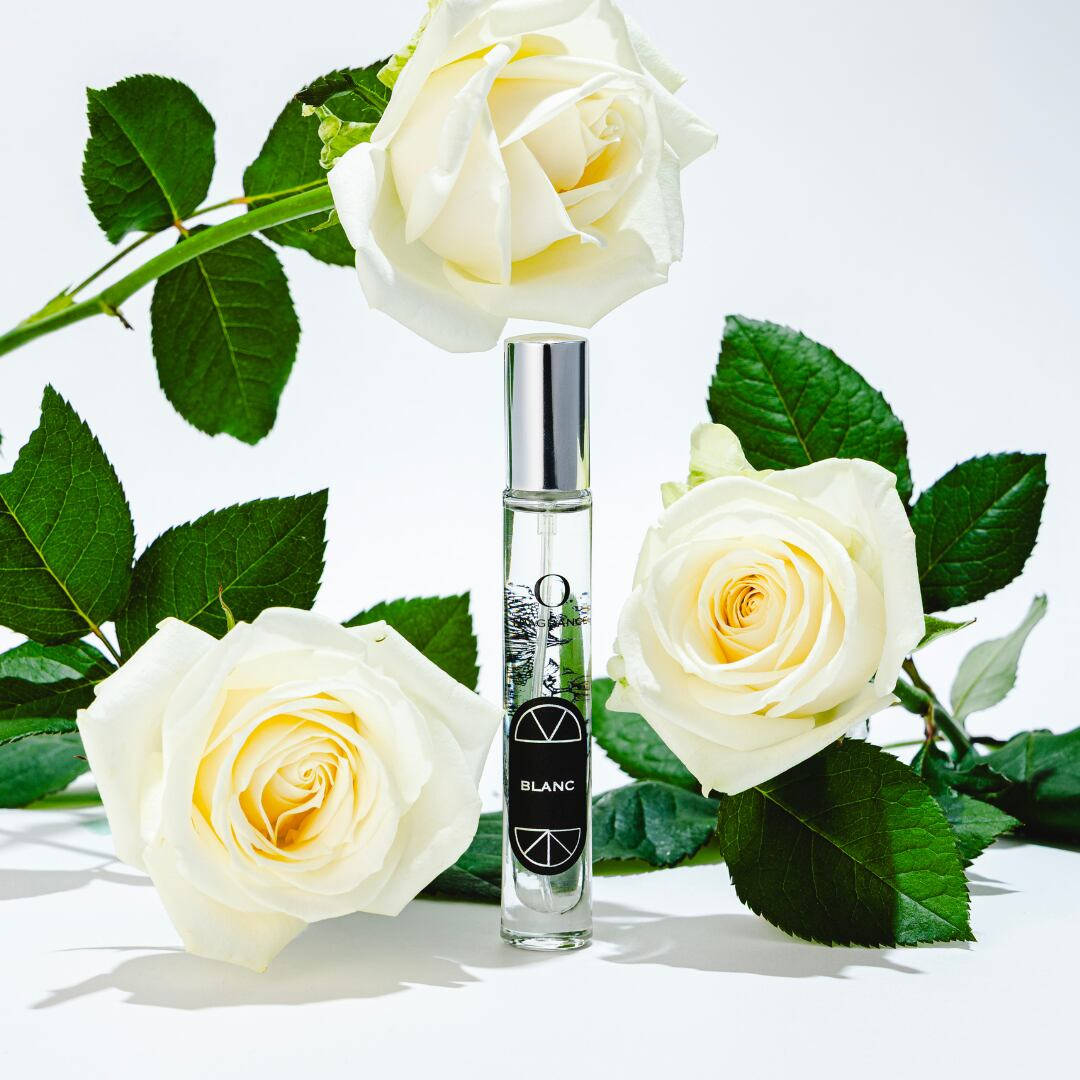 O FRAGRANCE 02 Blanc�ʥ֥��ˡ�O Skin��Hair�ʥܥǥ��ե쥰��󥹡�