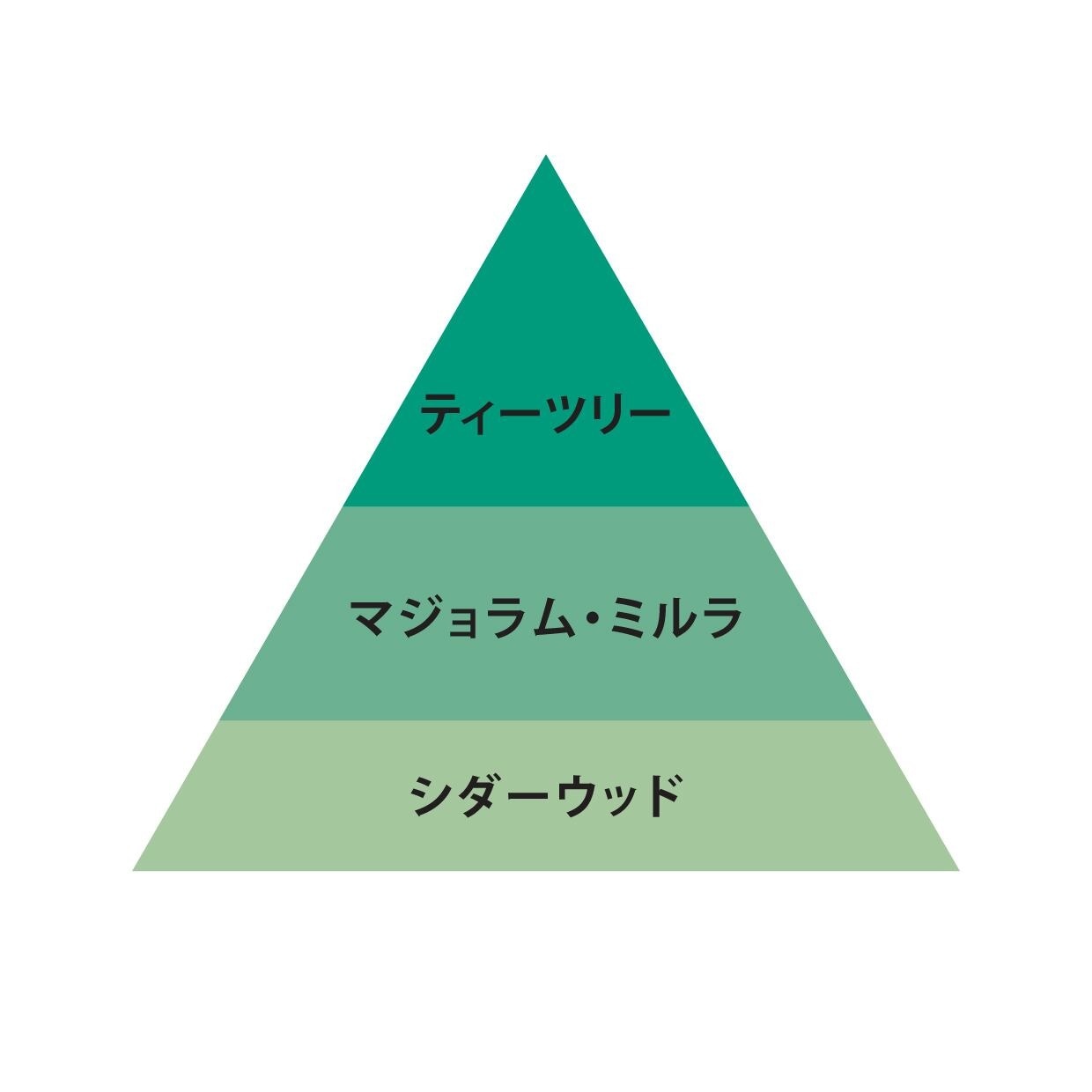 O FRAGRANCE 05 Reveur�ʥ�����ˡ�O Skin��Hair�ʥܥǥ��ե쥰��󥹡�