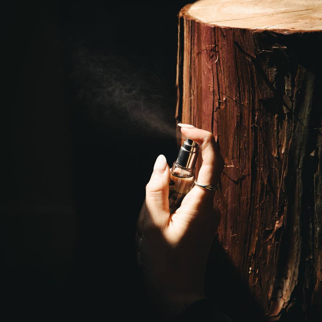 O FRAGRANCE 06 Cypr���s�ʥ����ץ�ˡ�O Skin��Hair�ʥܥǥ��ե쥰��󥹡�