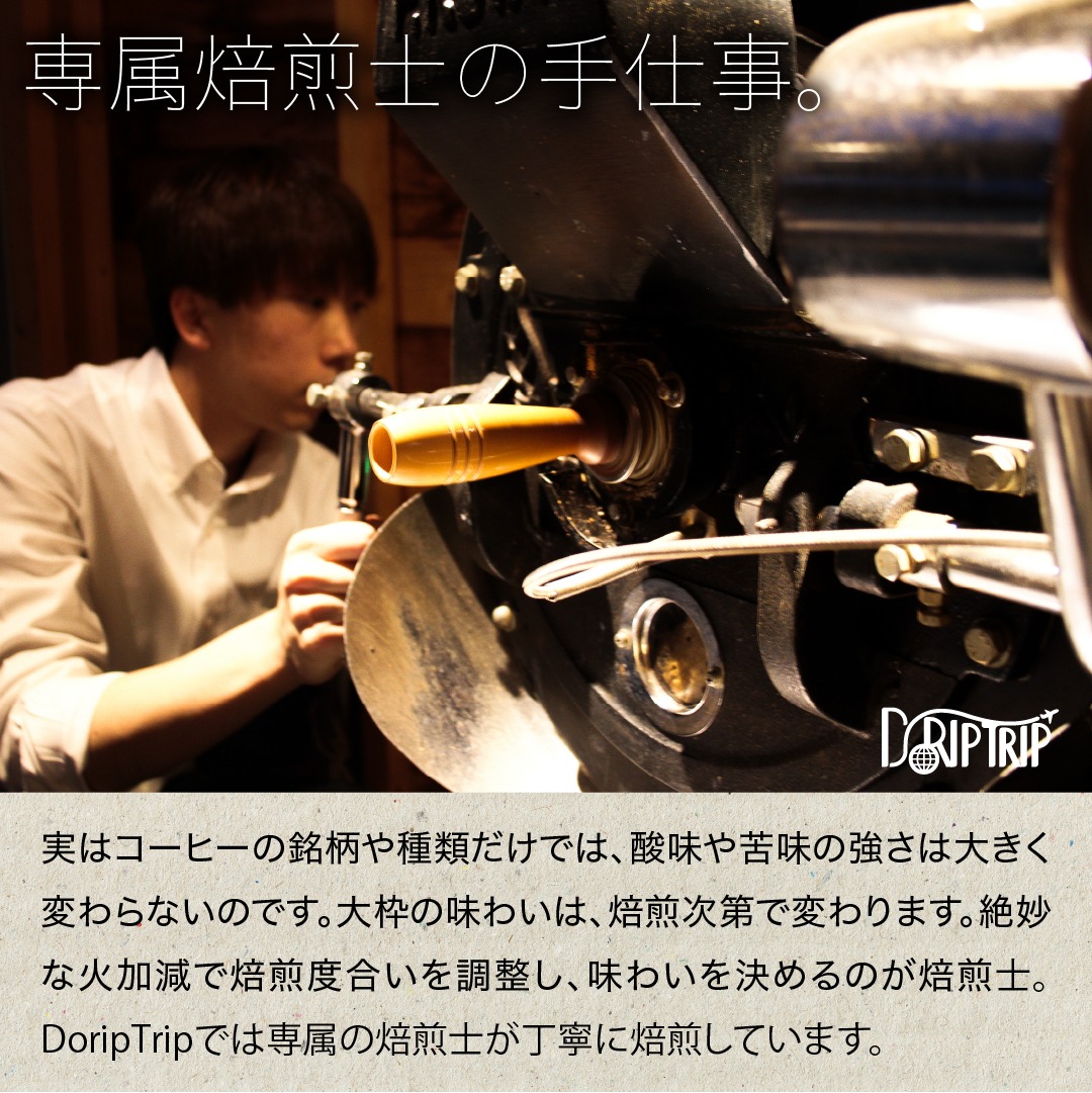 大豆田ページ モカ グジ G4 プラス ナチュラル エチオピア | Drip Trip 世界中の