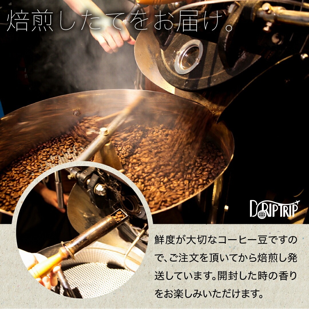 モカ グジ G4 プラス ナチュラル エチオピア | Drip Trip 世界中の