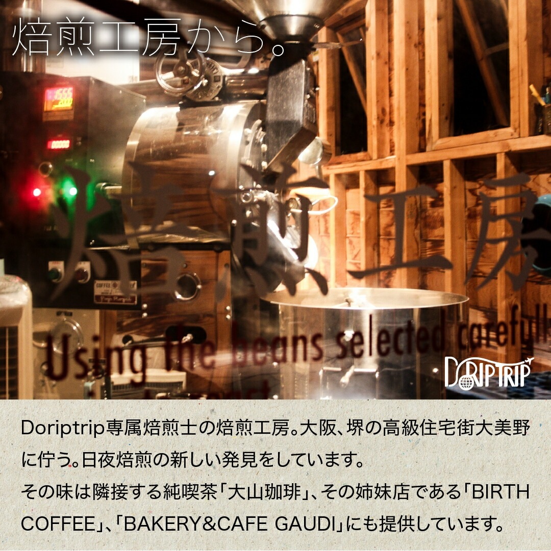 モカ グジ G4 プラス ナチュラル エチオピア | Drip Trip 世界中の