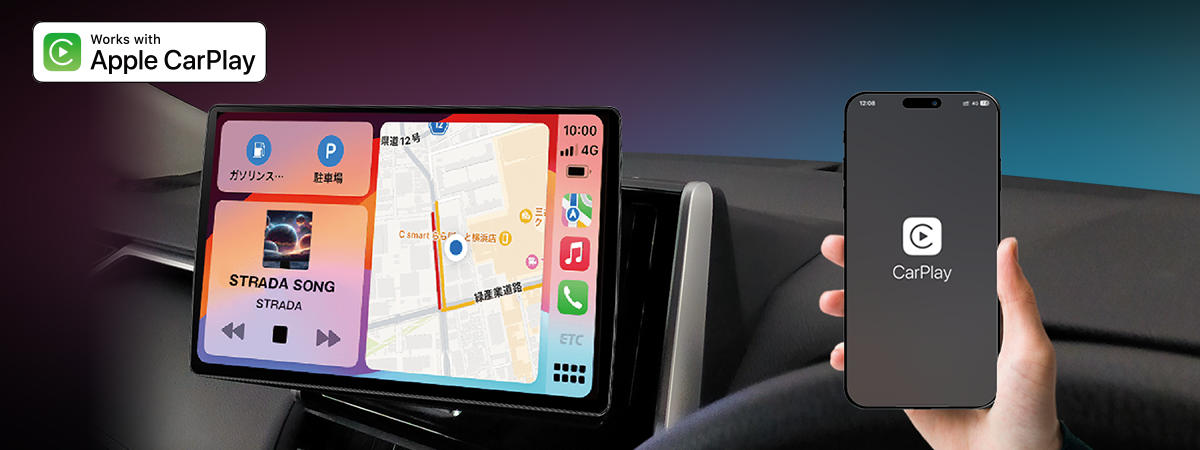 CN-F1X10C1D �ѥʥ��˥å� ���ȥ顼�� 10����� �����ʥ� �ե����ƥ��� Strada(���ȥ顼��) (CD/DVD�Բ�)