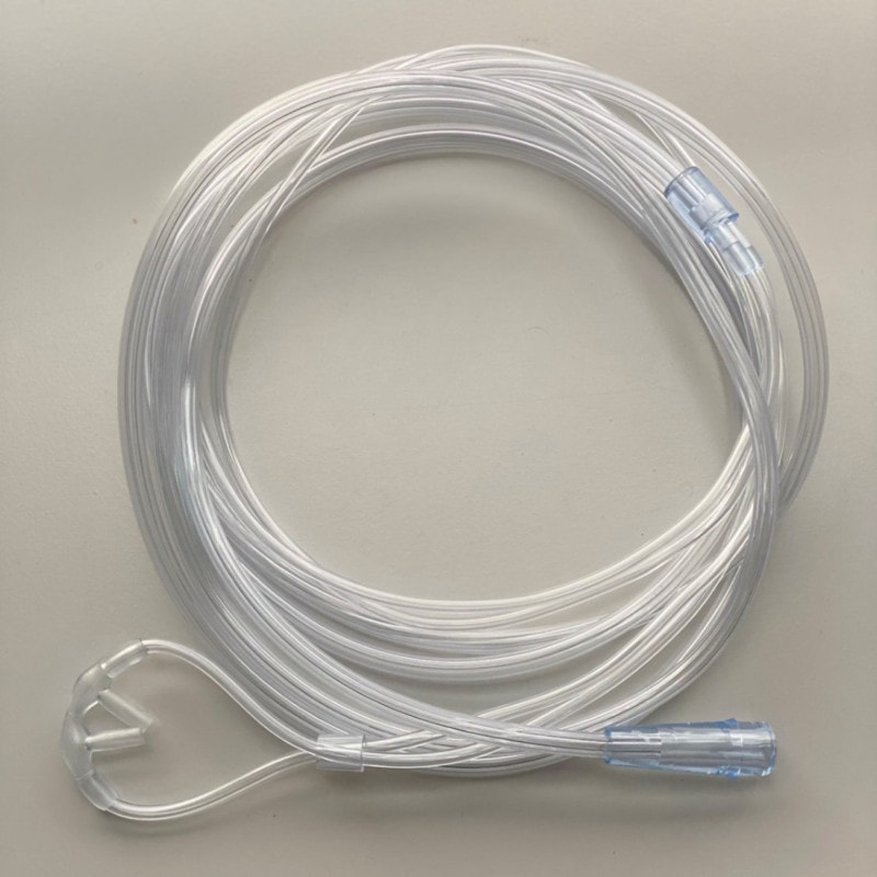 ڥץߥѡۥΡ塼֡ʥ˥塼10ܥå