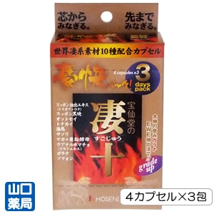 ����Ʋ������������ѥå� 3days