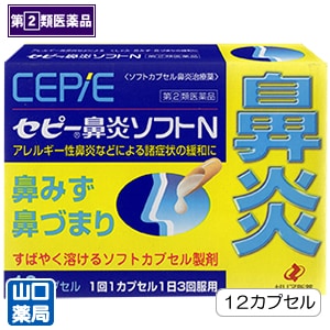 ���ԡ�ɡ�꥽�ե�N 12���ץ���